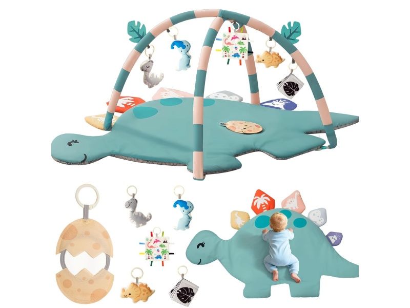 Baby Play Gym