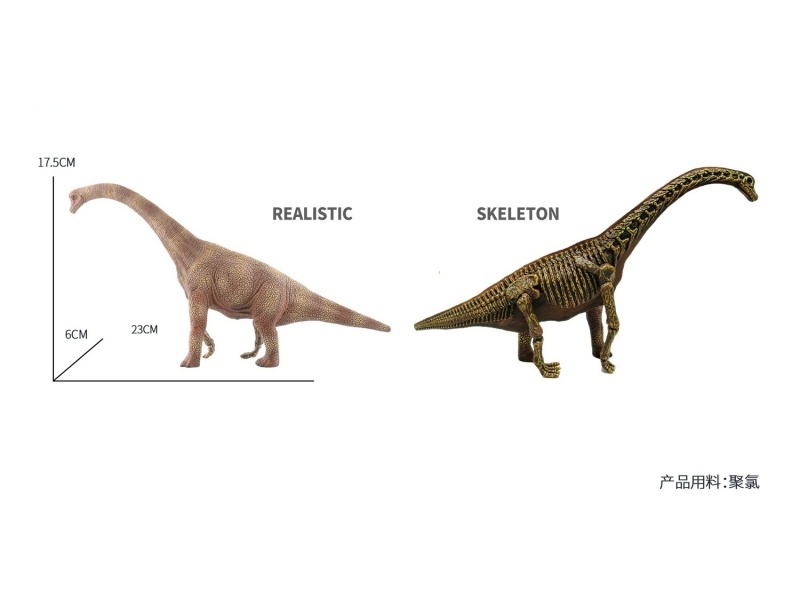 Brachiosaurus (Half-Skeleton) Simulation Dinosaur Toy