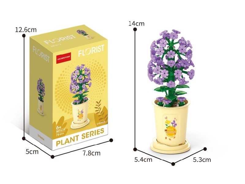 79 Pcs Of Lilacs On The Start Of Autumn