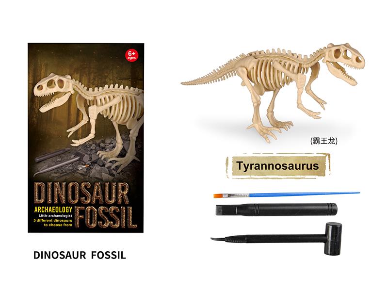 Archaeological Dinosaur Fossil Series - Tyrannosaurus Rex