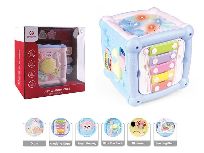Baby Wisdom Cube