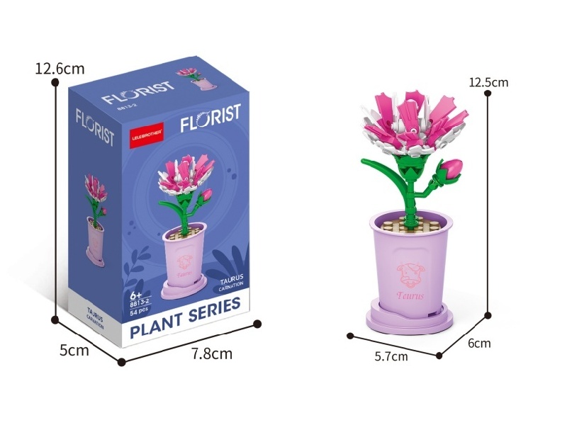 Taurus Carnations 54 Pcs