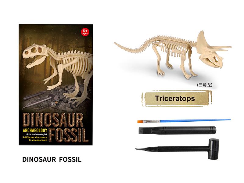 Archaeological Dinosaur Fossil Series - Triceratops