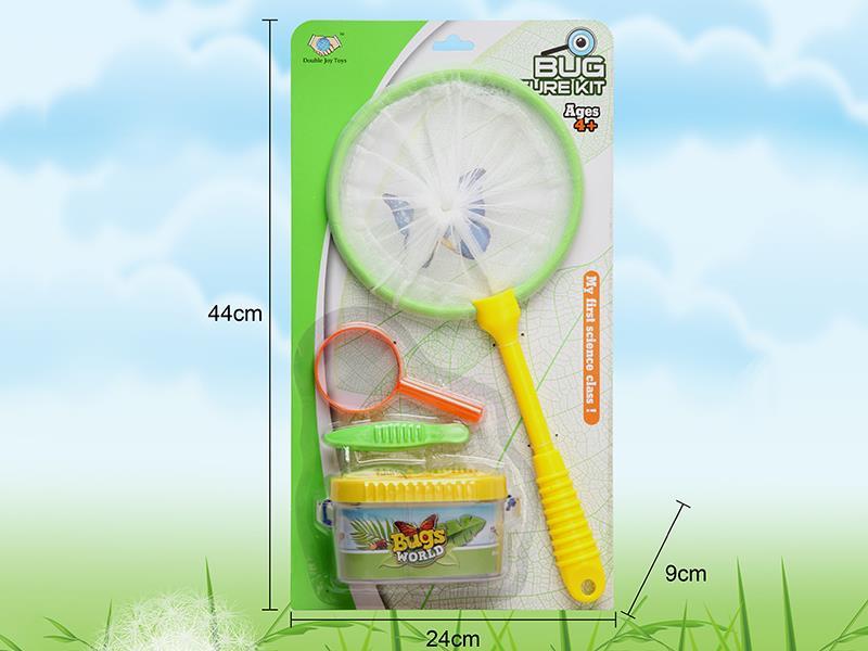 Insect Toy