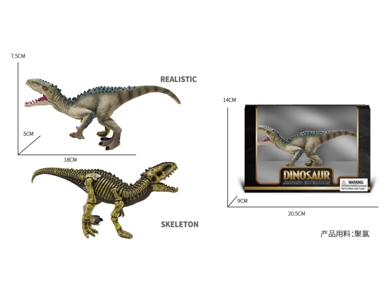 Semi-Skeleton - Yongchuan Dragon Simulation Dinosaur Toy