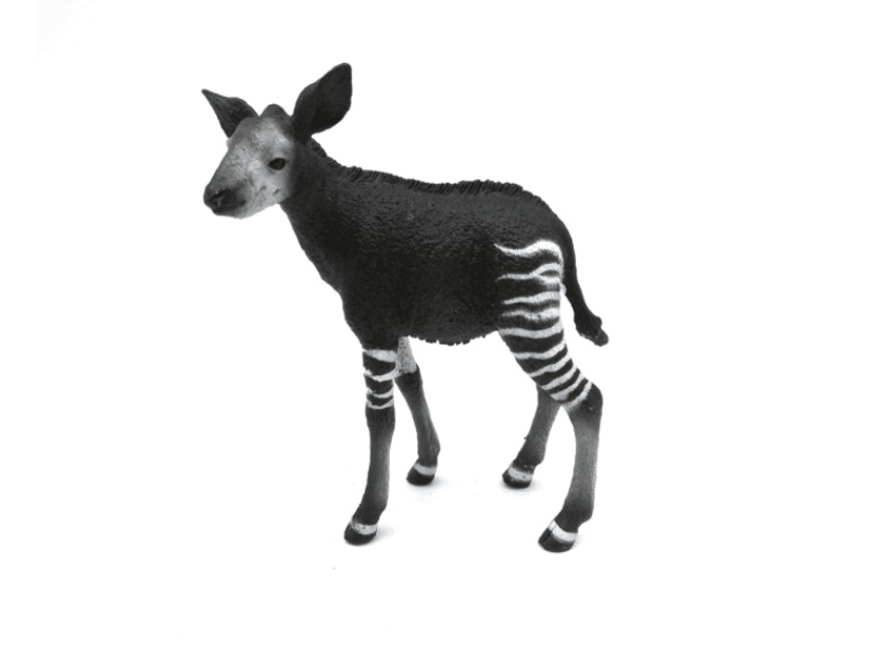 Okapi Baby