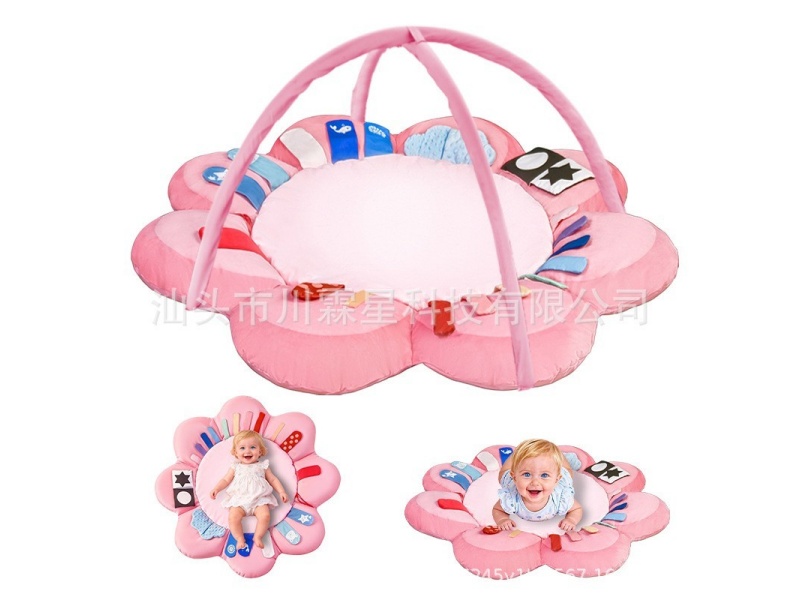Baby Play Gym