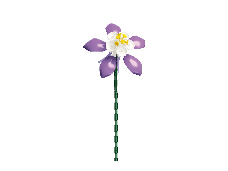 Columbine Building Blocks Flower