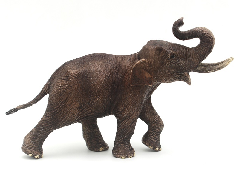 Male Asian Elephant (Rough-Faced)