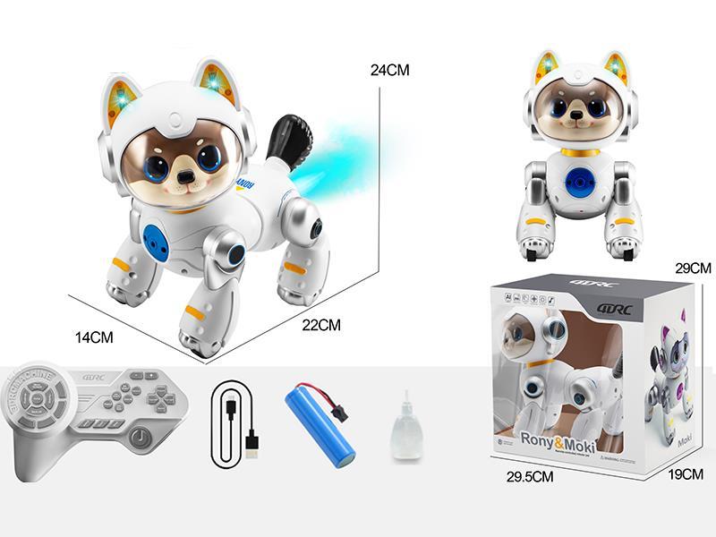 Remote Control Programming Cartoon Dog