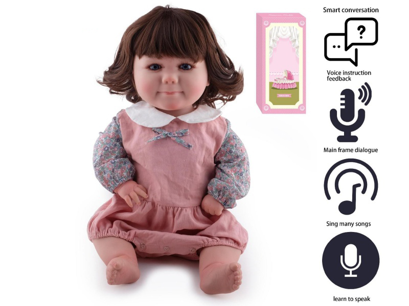 60cm Soft Plastic Reborn Doll(Wig Sheath)With Feeding-Bottle, Magnetic Pacifier, Diaper, Birth Card, With Smart Conversation, Recording Function