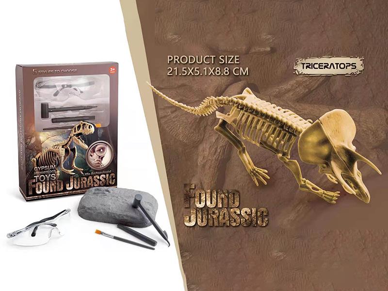 Dinosaur Fossil Archaeological Toy