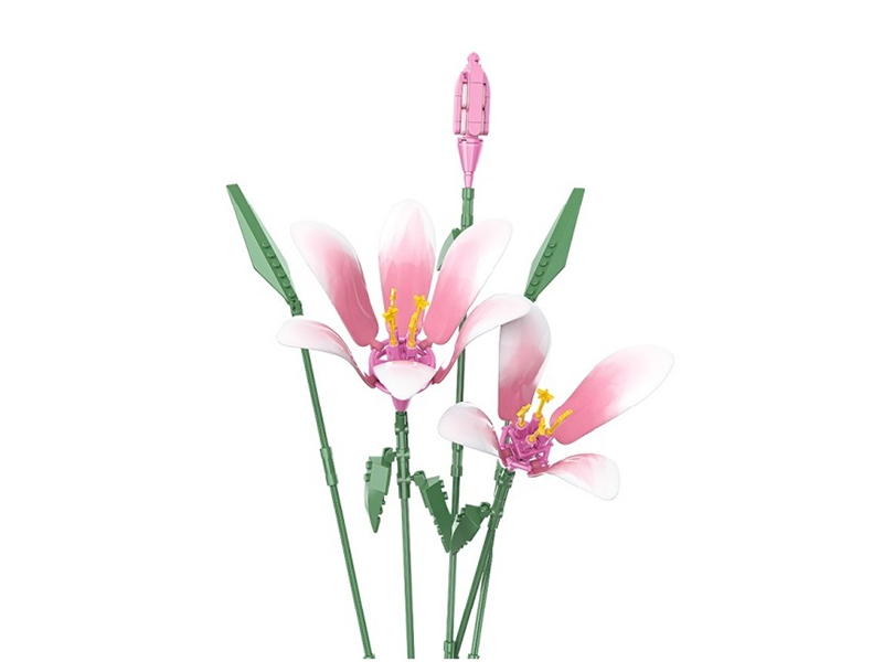 Building Blocks: With Sugar