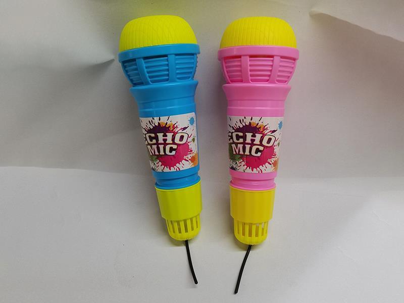 Echo Microphone