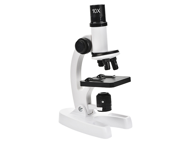 Microscope 300X 600X 1200X