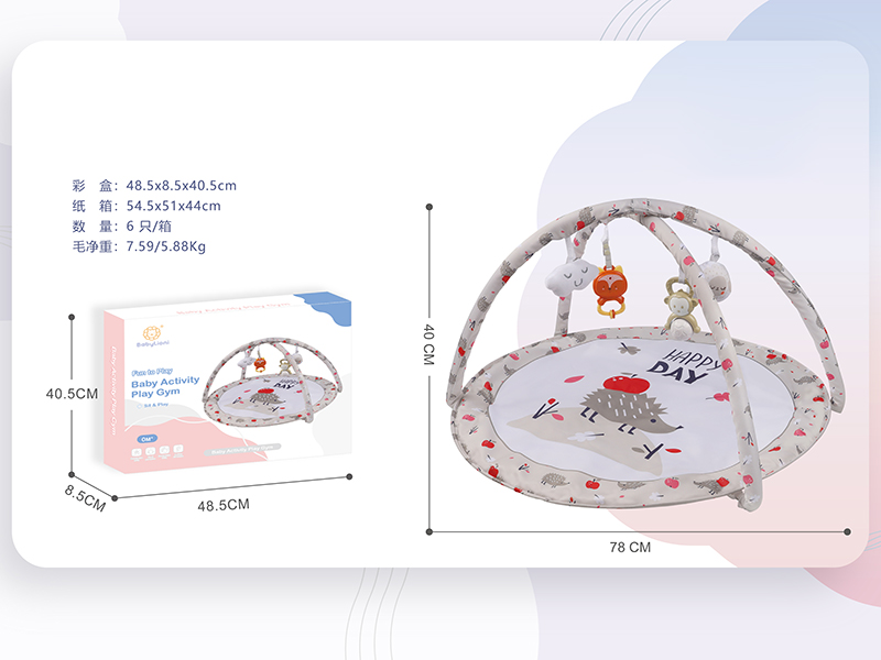 Baby Activity Play Gym