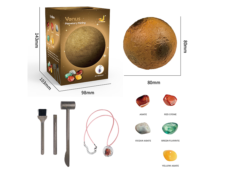 Venus Planetary Archaeological Dig Set