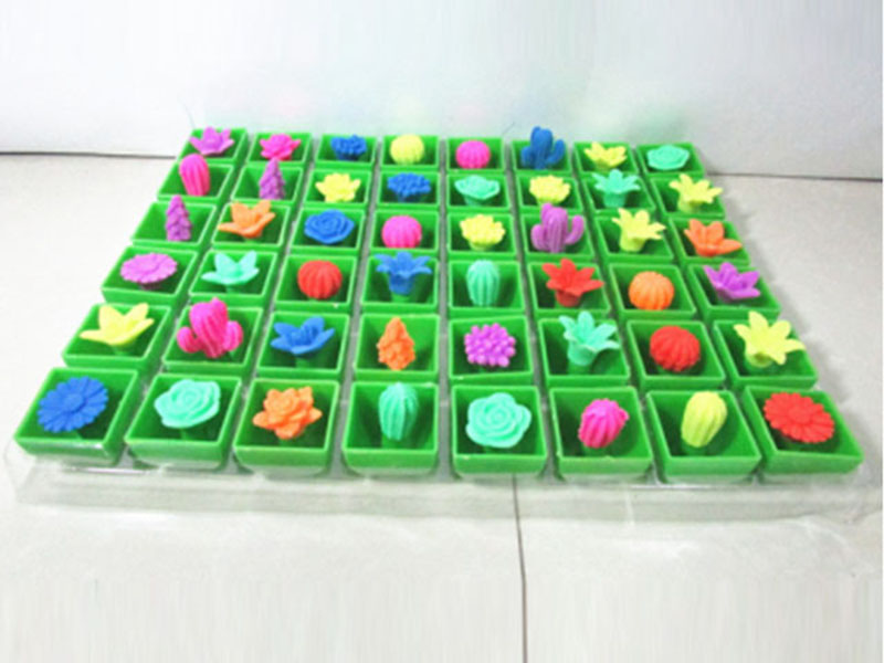 Growing Toys Cactus 48pcs