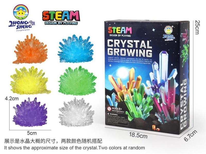 DIY Self-Growing Crystal Science Experiment (Large Crystal Seed)