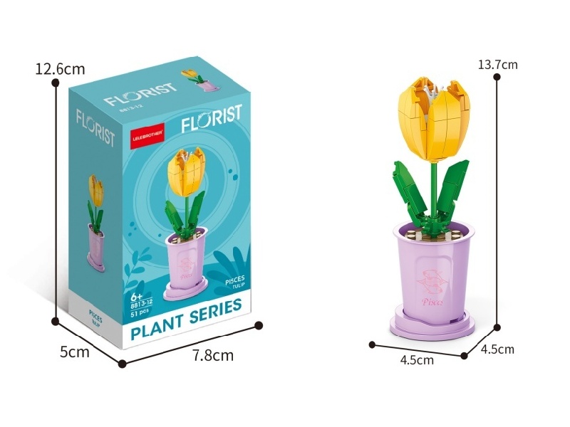 Pisces Tulips 51 Pcs