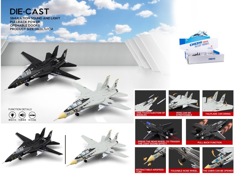 F-14 Tomcat Fighter Jet