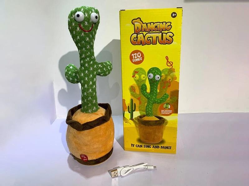 Dancing Cactus Toy
