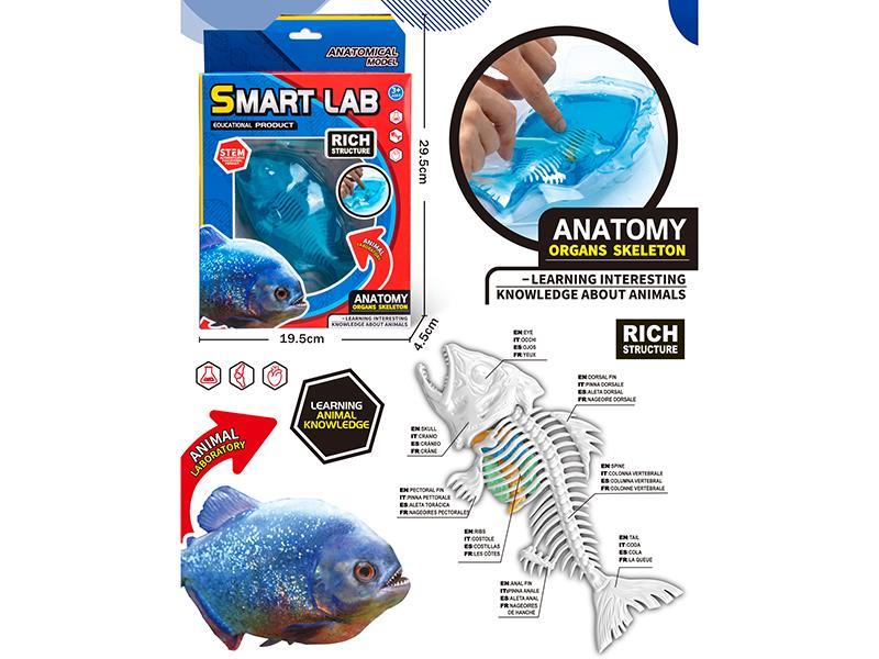 Displaning Lab Set + Shark