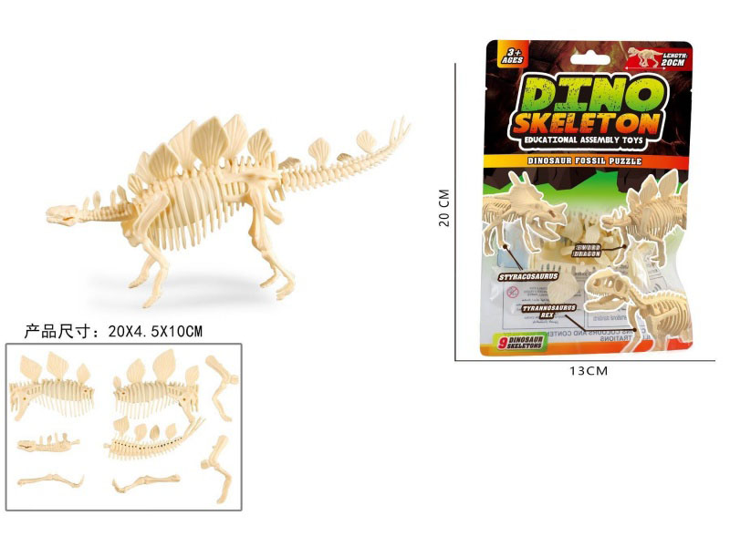 Assemble The Stegosaurus Skeleton