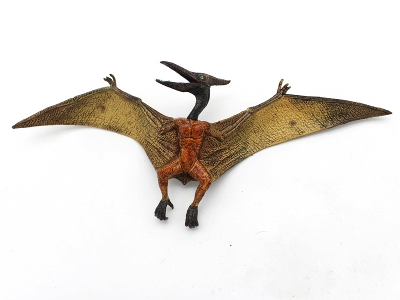 Pterosaur Without Teeth