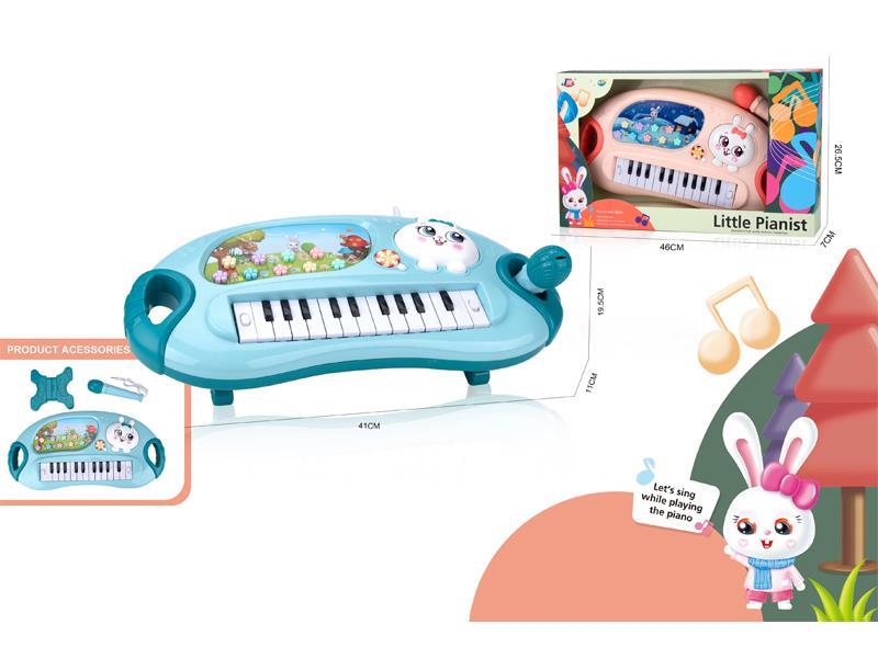 Rabbit Organ Electronic Organ With Microphone