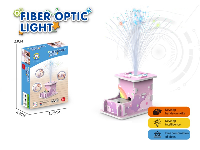Fiber Optic Light Physics Experiment Toys