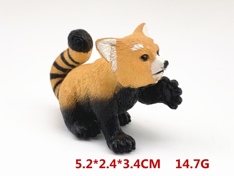 Play With The Little Raccoon