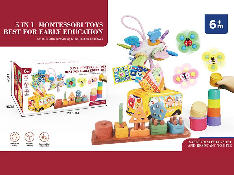 5 In 1 Montessori Toys