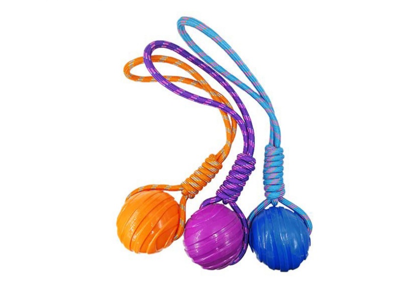 A Large Round Ball Pet Toy With A Rope