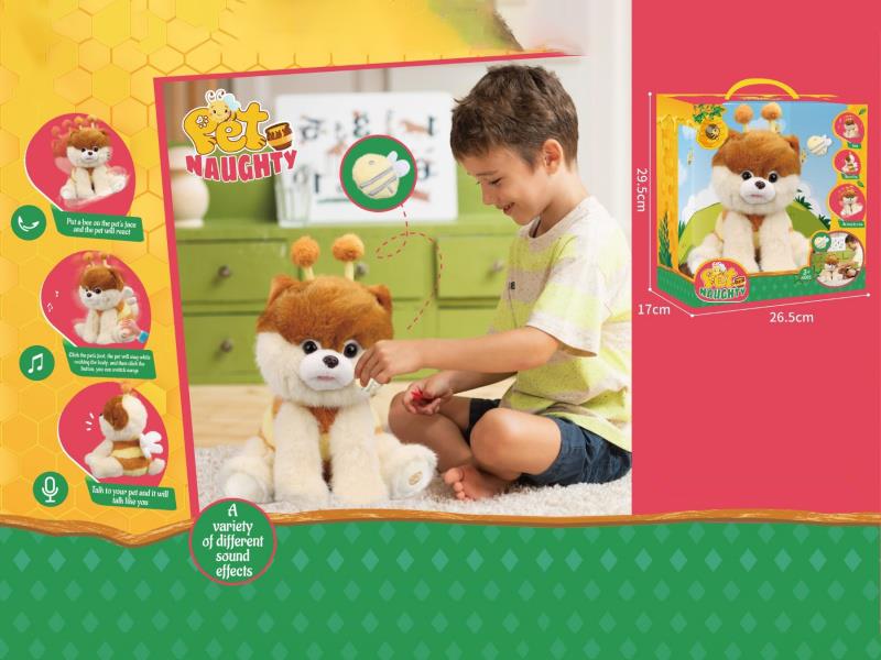 Spin The Bee Pomeranian Dog