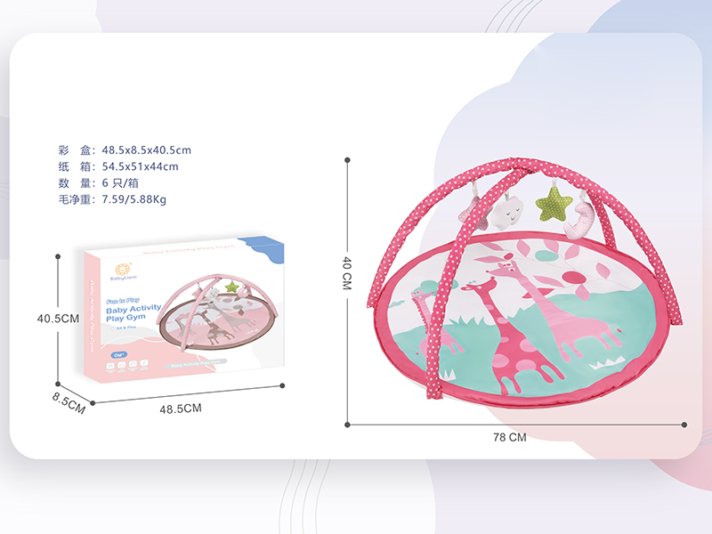 Baby Activity Play Gym