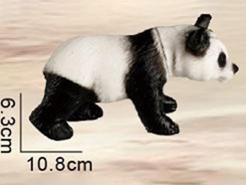 Panda Animal Model