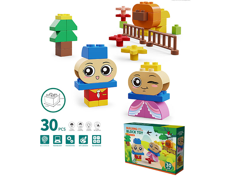 Large Particles Building Blocks 30PCS