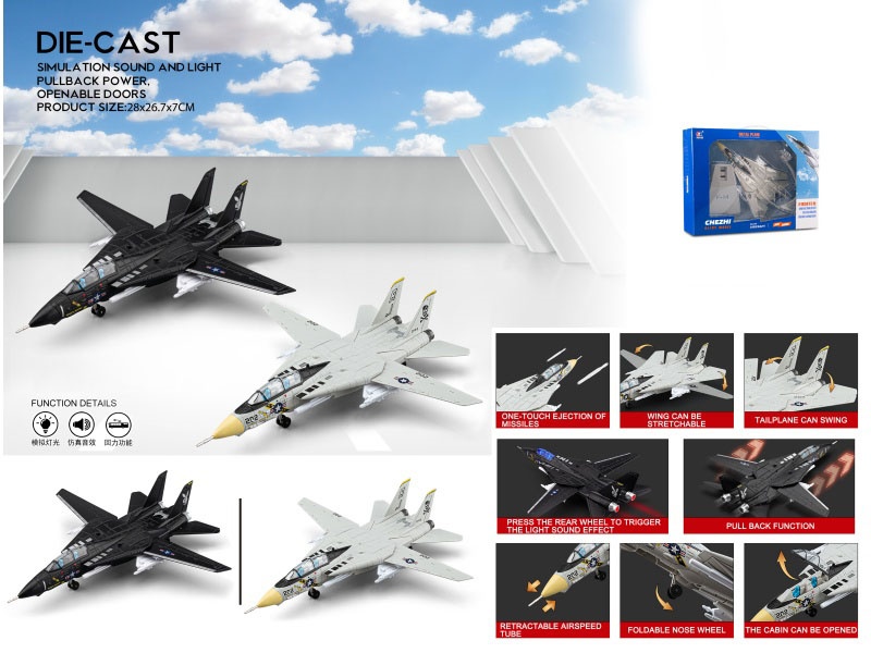 F-14 Tomcat Fighter Jet