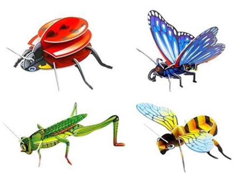 Insect 3D Puzzle