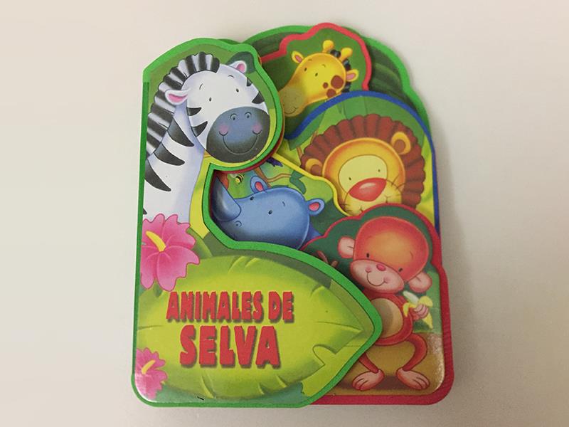 Castellano EVA Early Education Book