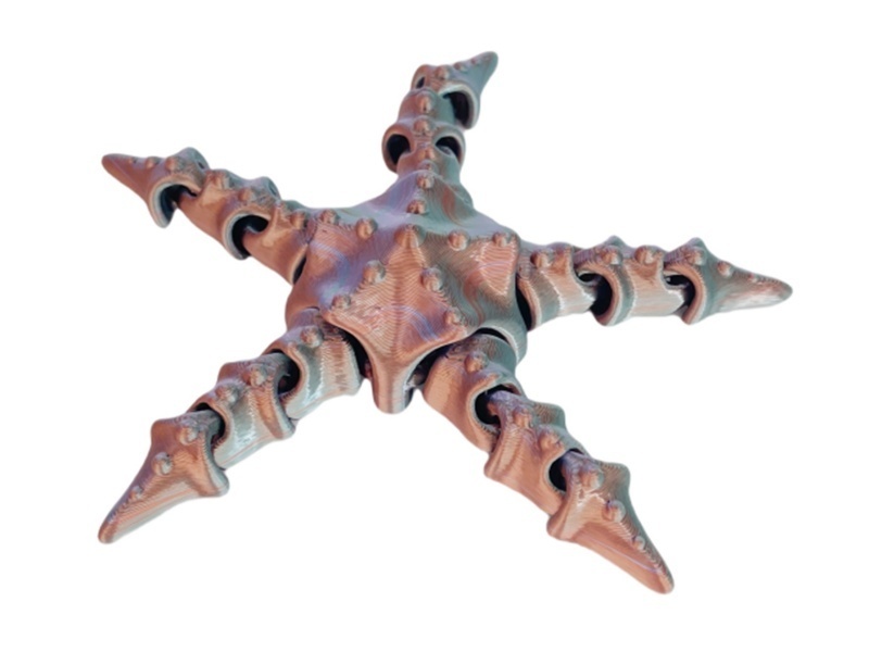 Starfish 11.5Cm