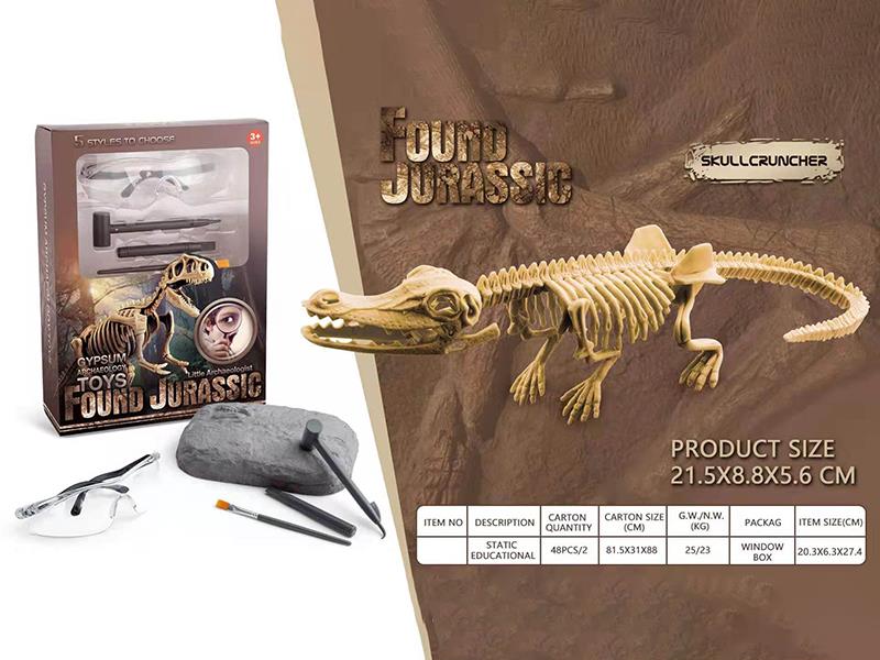 Dinosaur Fossil Archaeological Toy