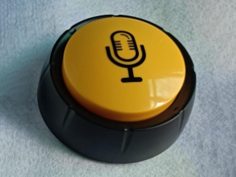 Recording Message Toy