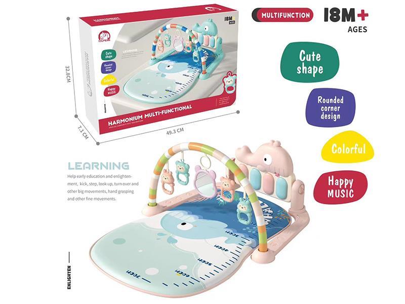 Pedal Piano Fitness Blanket - Fish