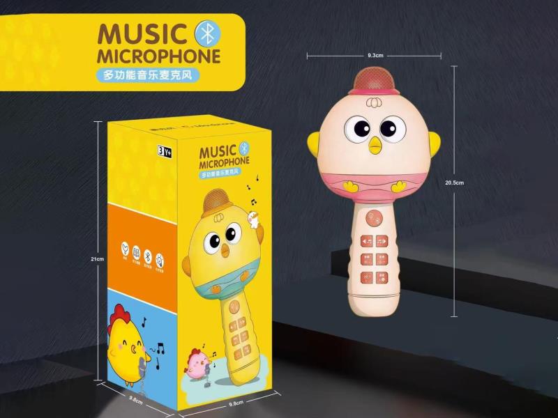 Multifunctional Music Microphone