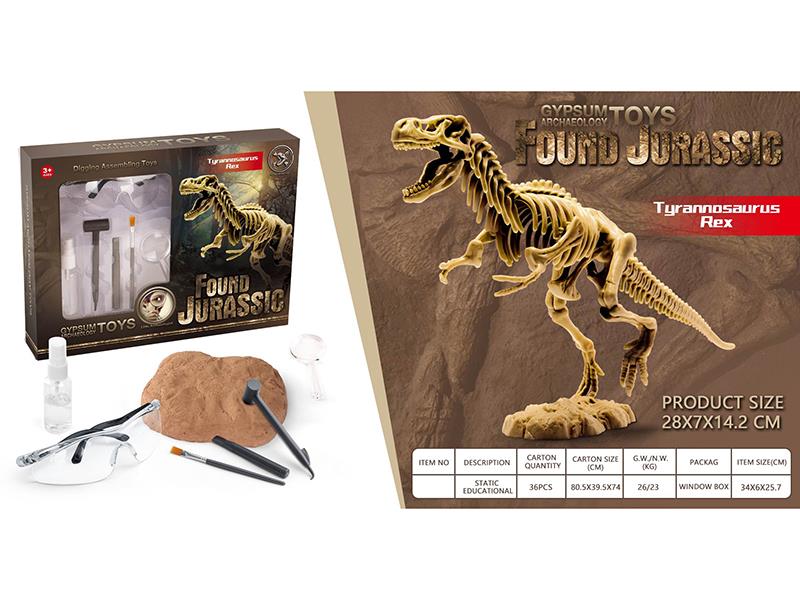 Dinosaur Fossil Archaeological Toy
