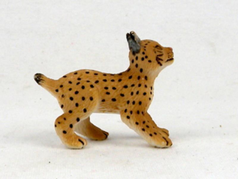 Small Lynx