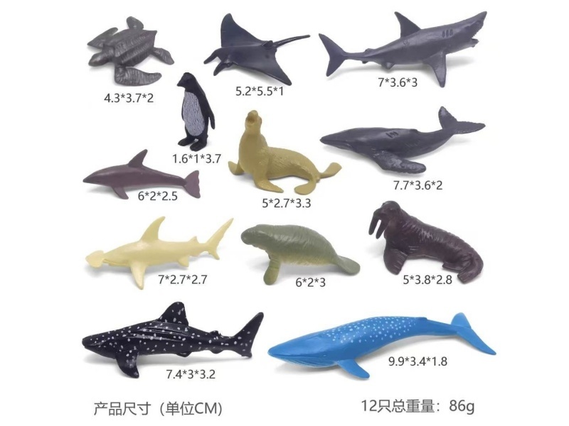 Ocean Set 12 Pcs