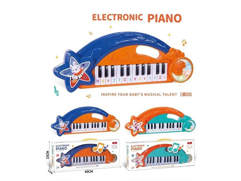Multifunctional Electronic Organ
